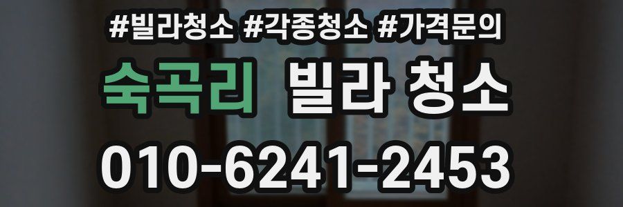 숙곡리 빌라 청소