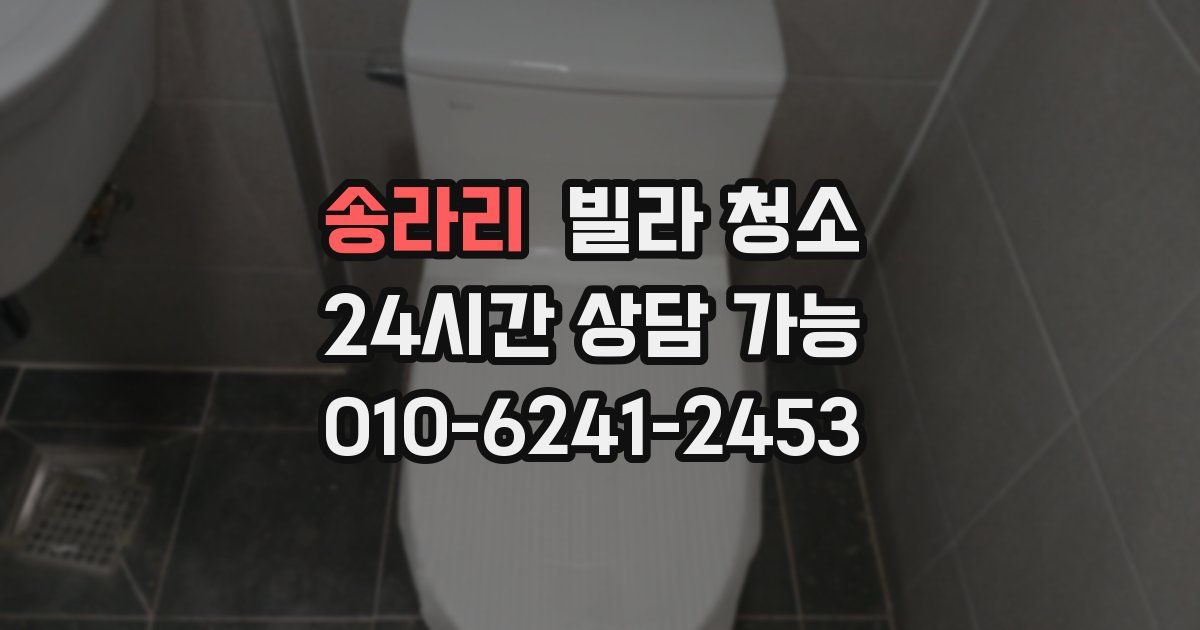 송라리 빌라 청소