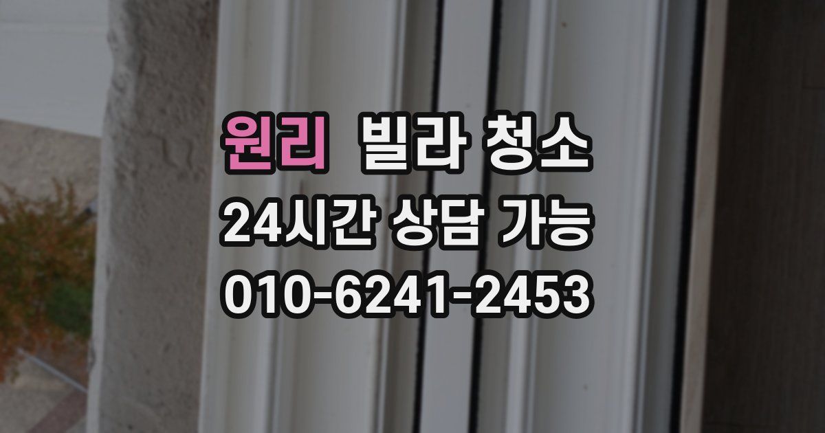 원리 빌라 청소