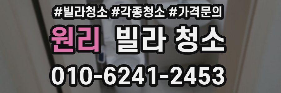 원리 빌라 청소