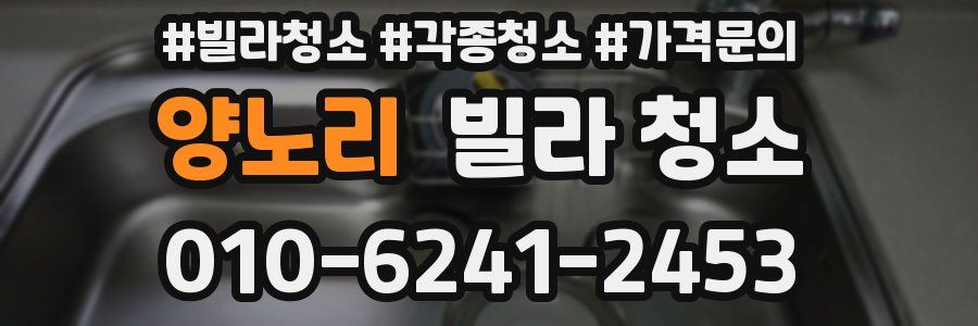 양노리 빌라 청소