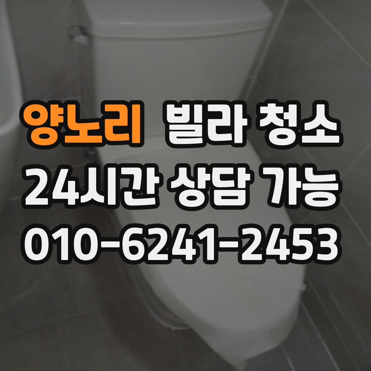 양노리 빌라 청소