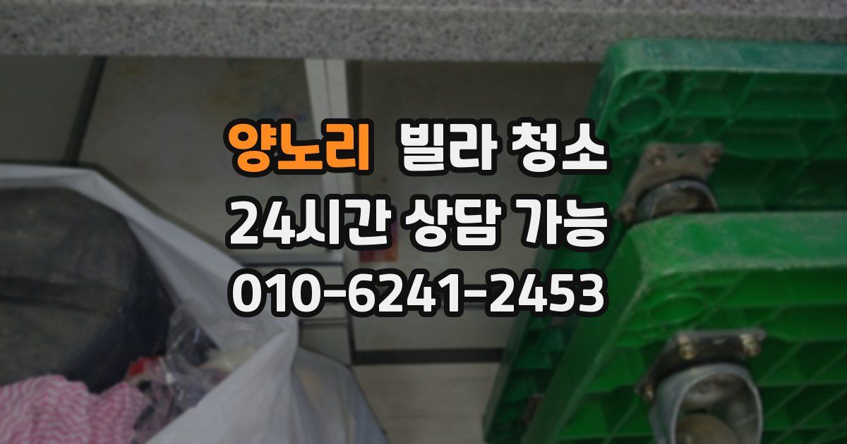 양노리 빌라 청소