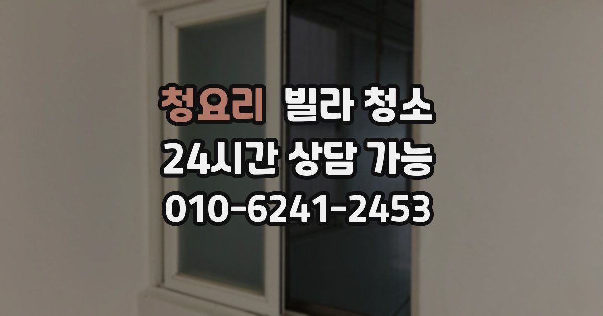 청요리 빌라 청소