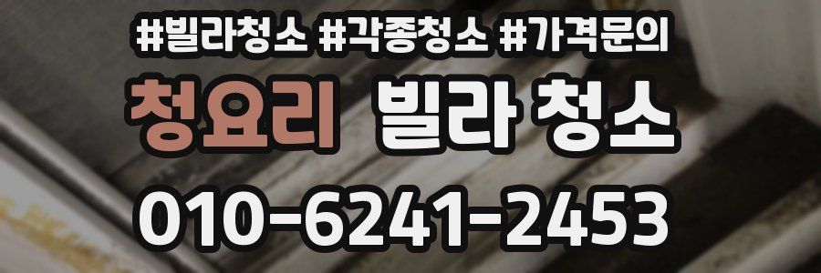 청요리 빌라 청소
