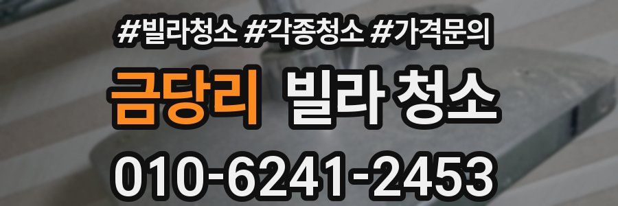 금당리 빌라 청소