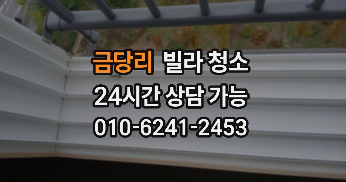 금당리 빌라 청소