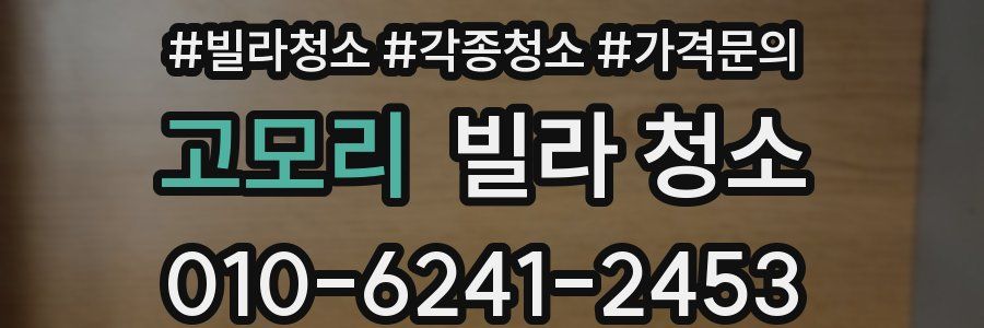 고모리 빌라 청소