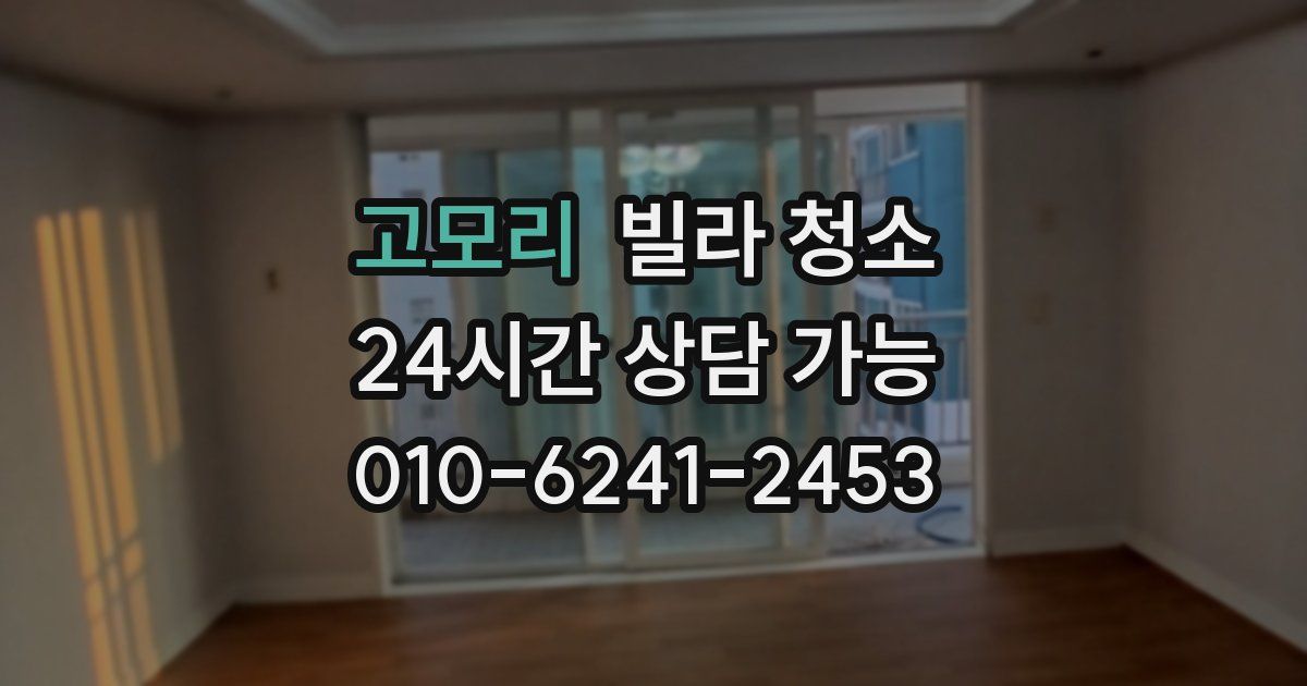 고모리 빌라 청소