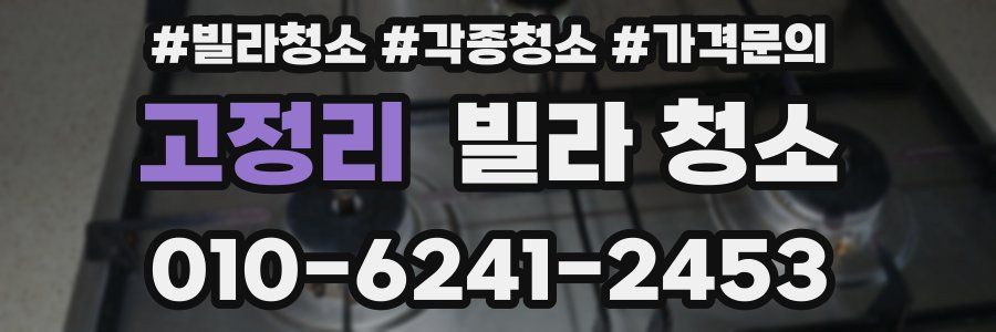 고정리 빌라 청소