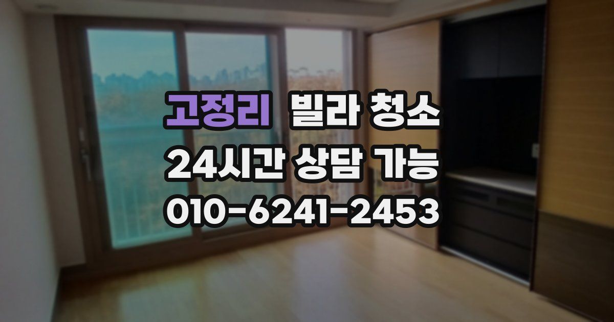 고정리 빌라 청소