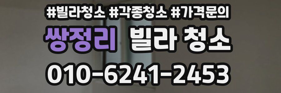 쌍정리 빌라 청소