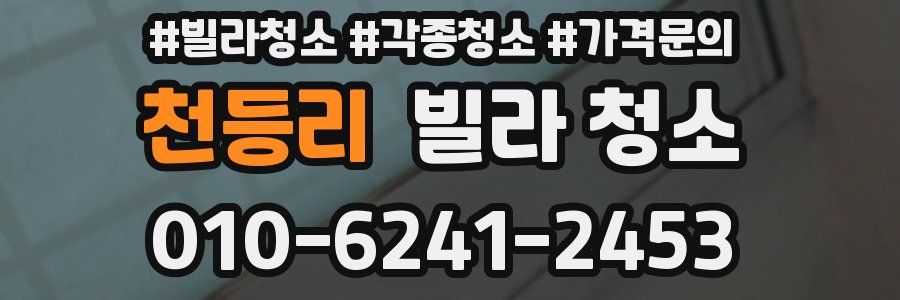 천등리 빌라 청소