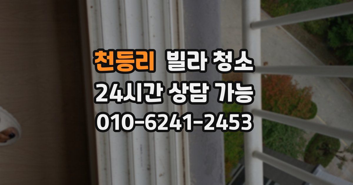 천등리 빌라 청소