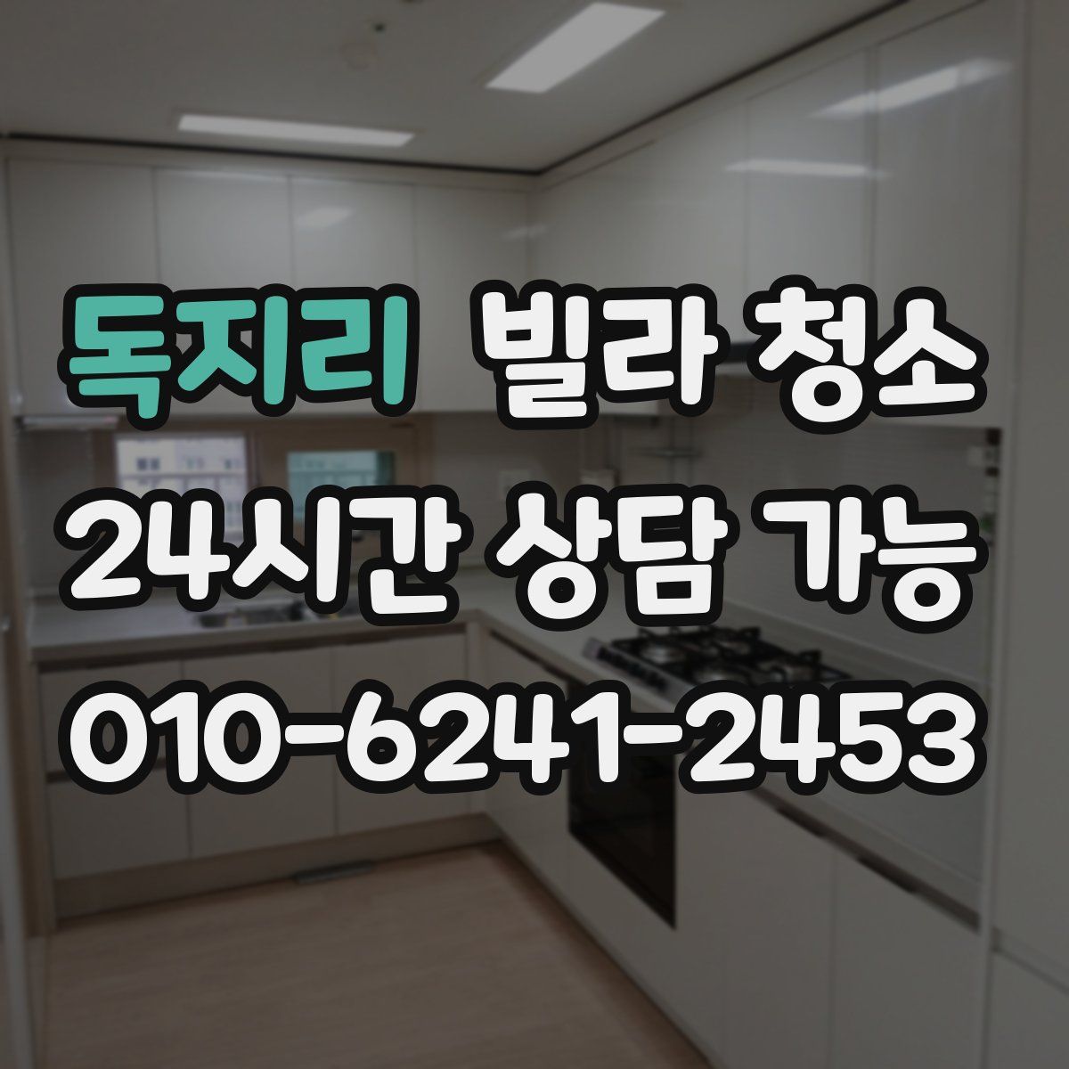 독지리 빌라 청소