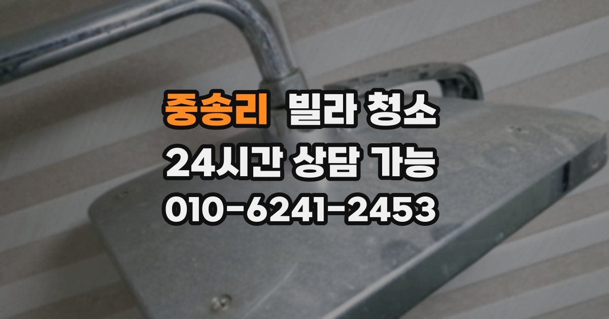 중송리 빌라 청소