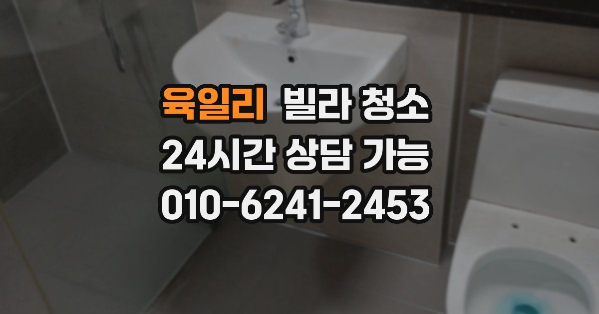 육일리 빌라 청소