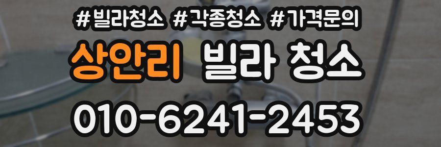 상안리 빌라 청소