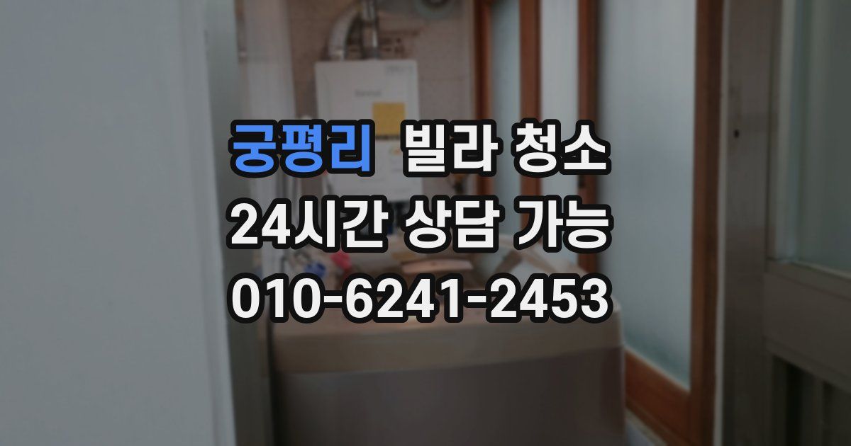 궁평리 빌라 청소