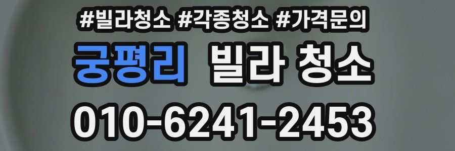 궁평리 빌라 청소