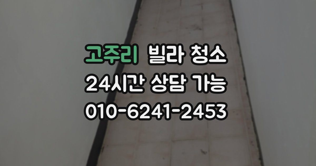고주리 빌라 청소
