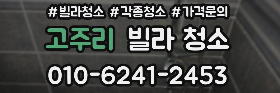 고주리 빌라 청소