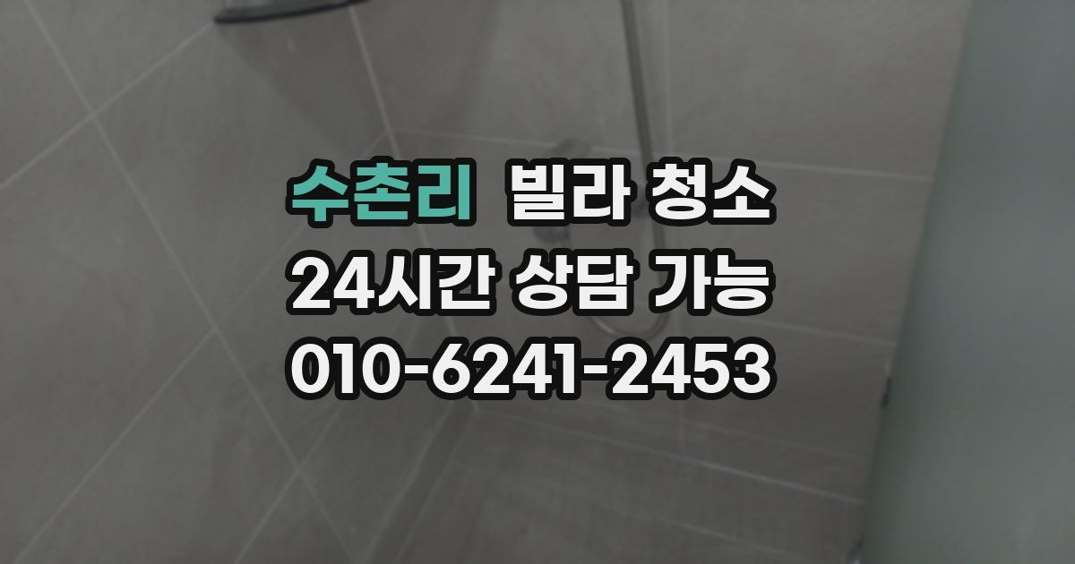 수촌리 빌라 청소