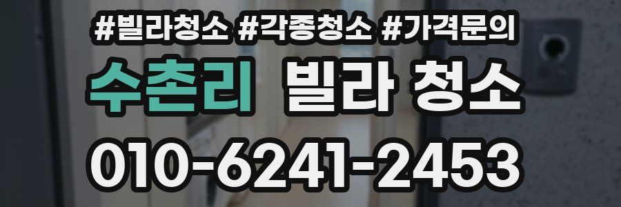 수촌리 빌라 청소