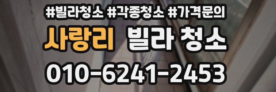 사랑리 빌라 청소