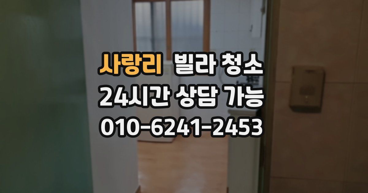 사랑리 빌라 청소