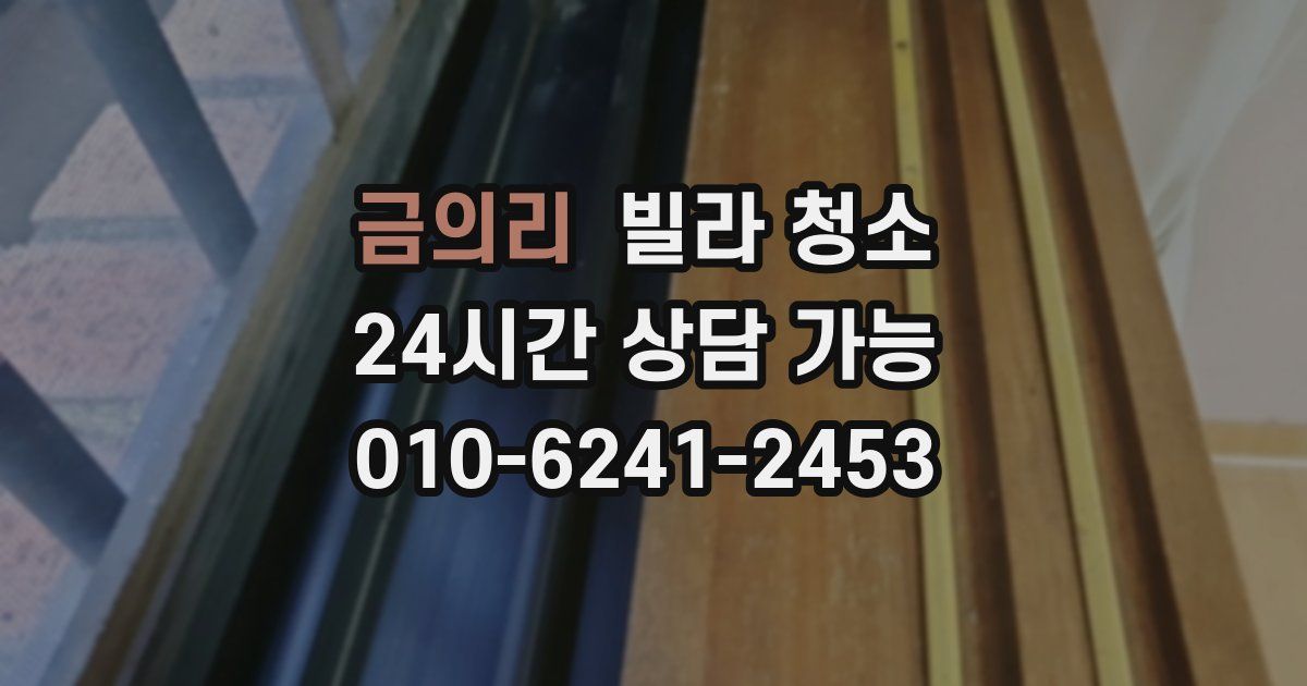 금의리 빌라 청소