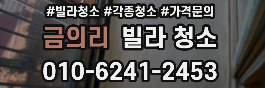 금의리 빌라 청소