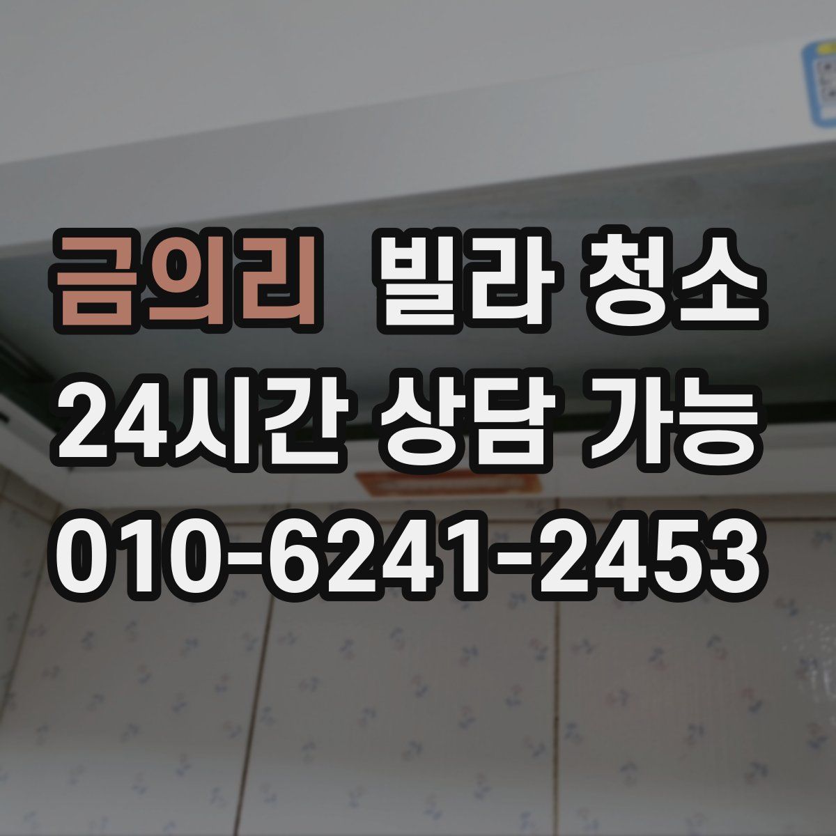 금의리 빌라 청소