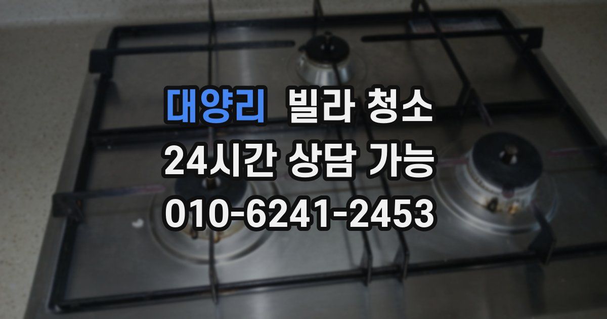 대양리 빌라 청소