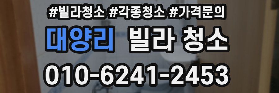 대양리 빌라 청소