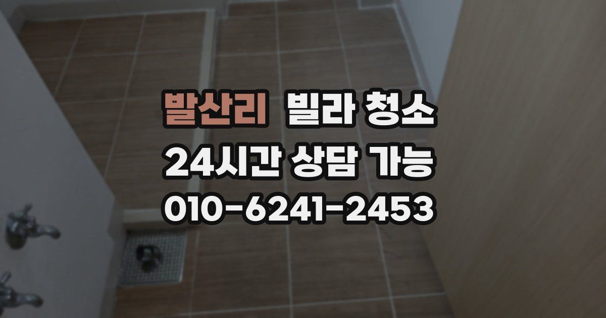 발산리 빌라 청소