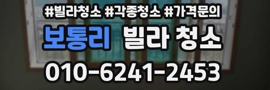 보통리 빌라 청소