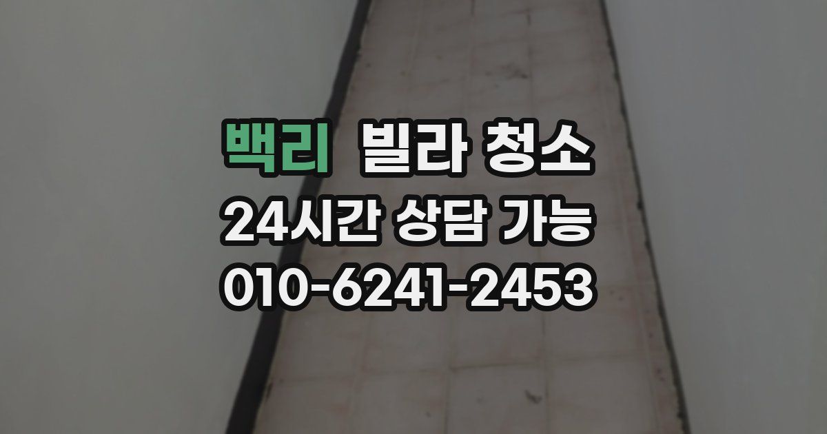 백리 빌라 청소