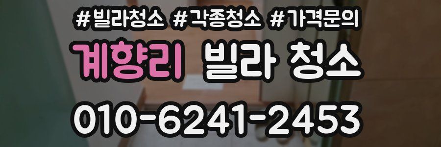 계향리 빌라 청소