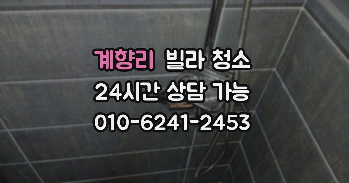 계향리 빌라 청소