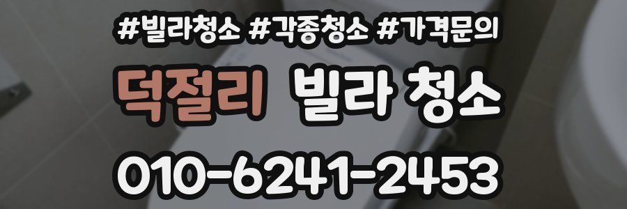 덕절리 빌라 청소