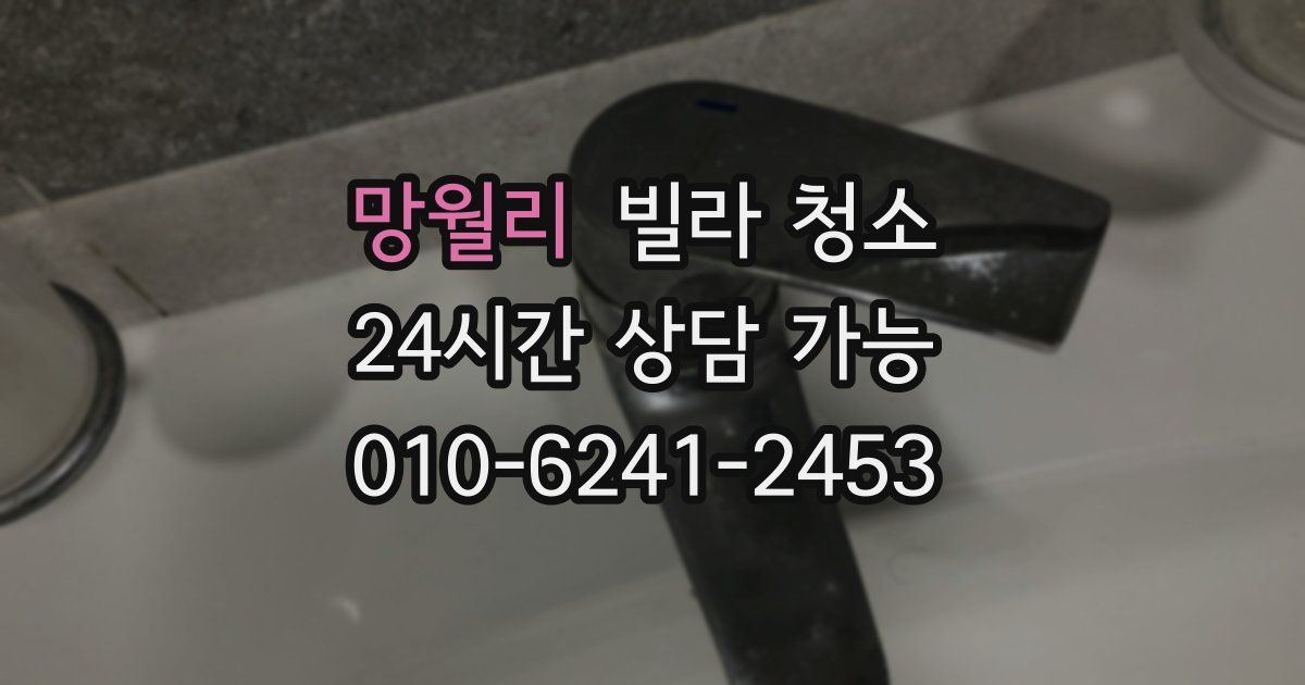 망월리 빌라 청소