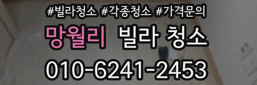 망월리 빌라 청소