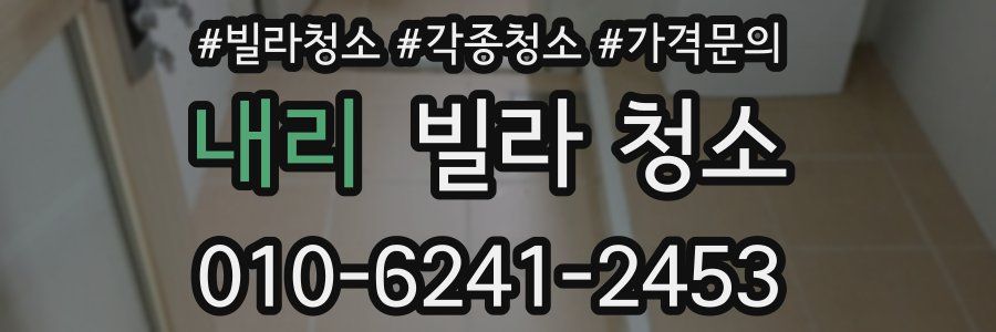 내리 빌라 청소