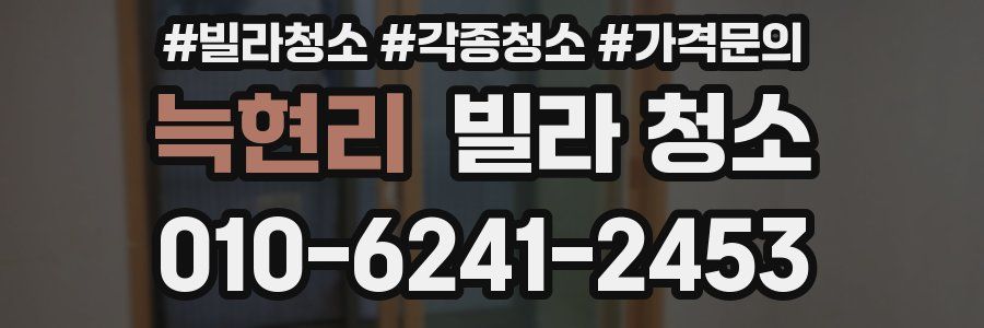 늑현리 빌라 청소