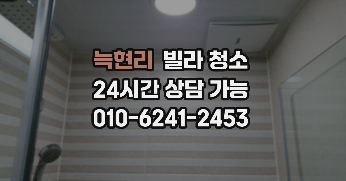 늑현리 빌라 청소