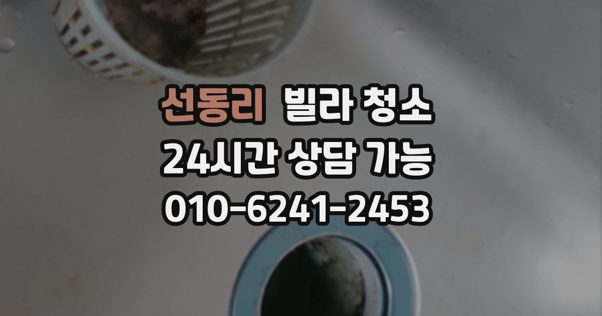 선동리 빌라 청소