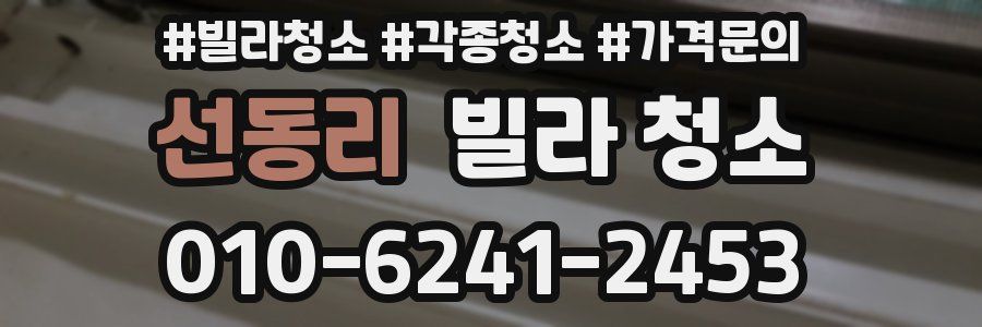 선동리 빌라 청소