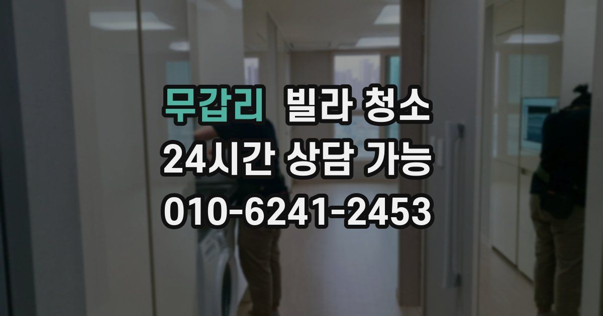 무갑리 빌라 청소