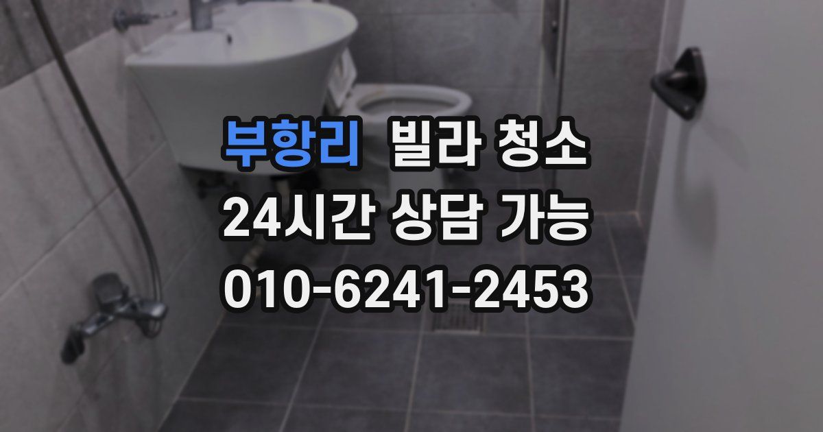 부항리 빌라 청소